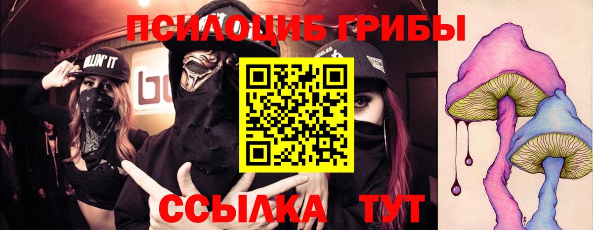 Назарово  Псилоцибиновые грибы прущие грибы  Вход с VPN 