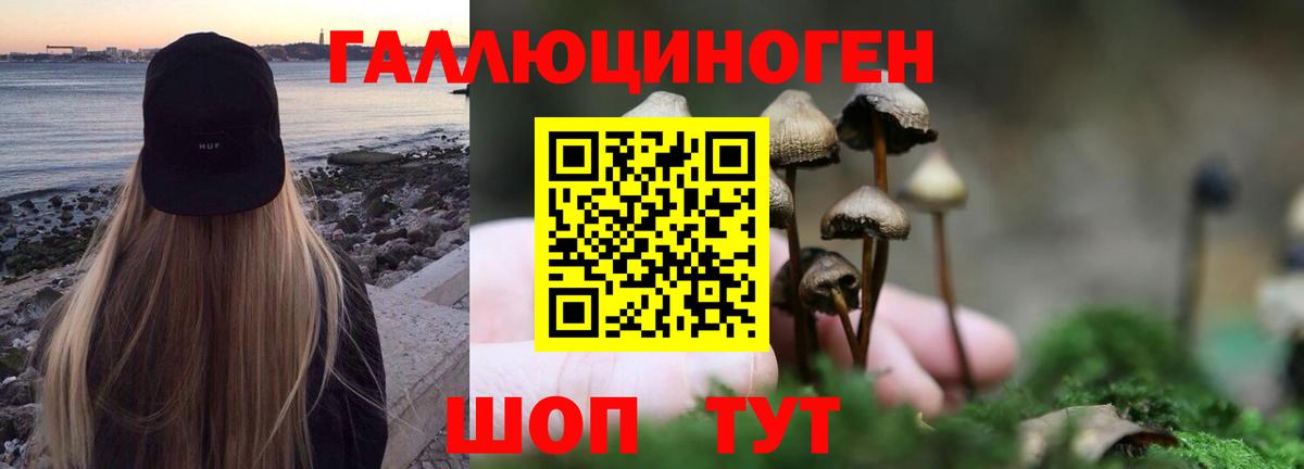 Псилоцибиновые грибы ЛСД Назарово